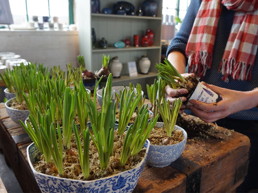 Spring in the Factory Shop