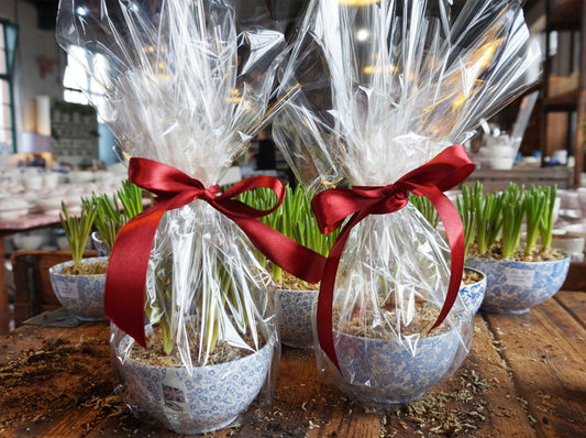 Valentine's Day in the Factory Shop