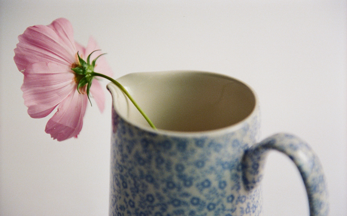 Burleigh Blue Felicity | Burleigh Pottery